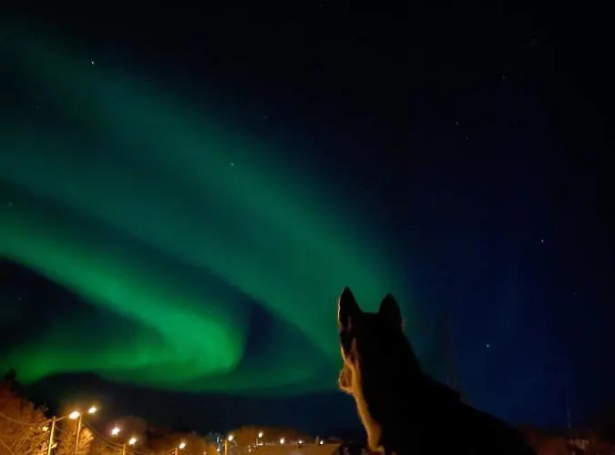 Et Koselig Hus I Vakre Lofoten Ferienhaus